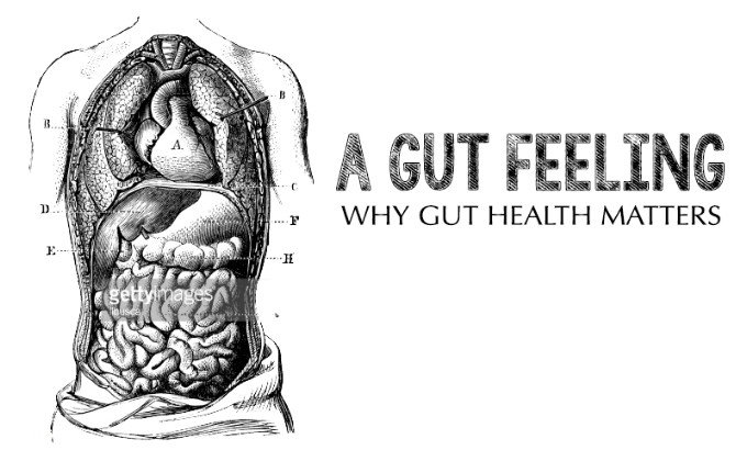 Click to enlarge gut health