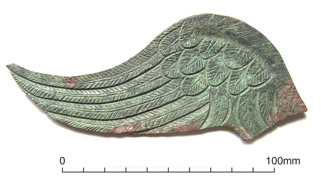 Bronze wing