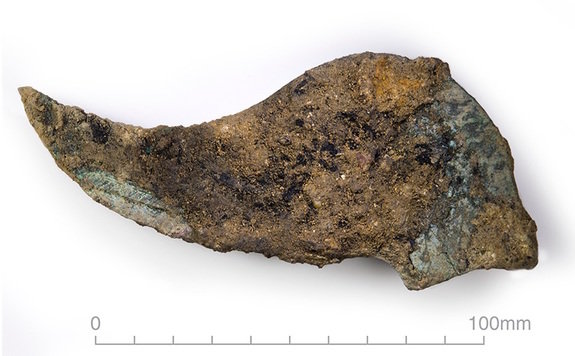 Click to enlarge Wing prior to conservation