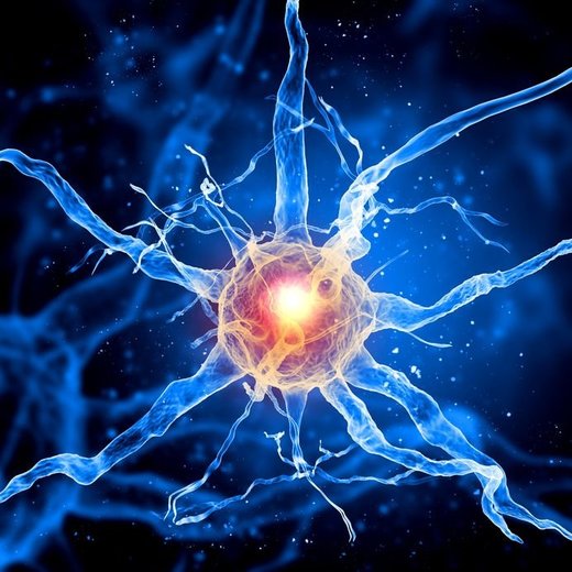 Click to enlarge brain cells