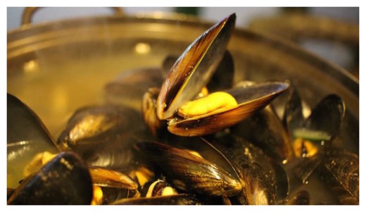 Mussels