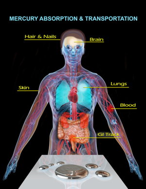 Click to enlarge mercury