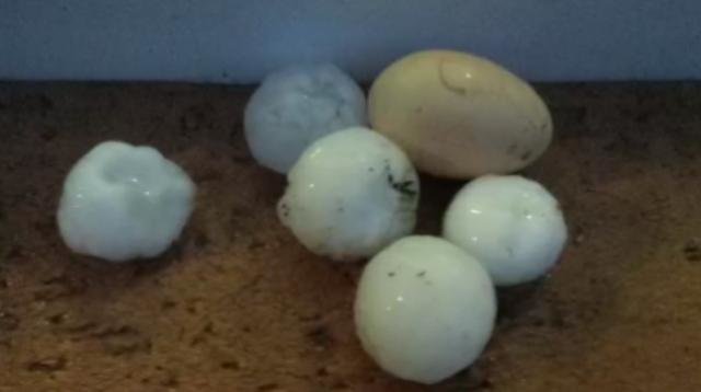 Moldova hailstones