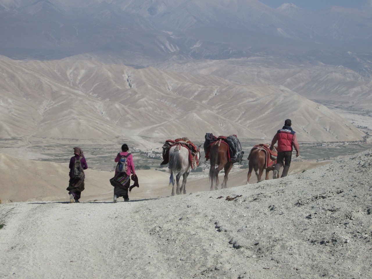 Click to enlarge Himalayan Population