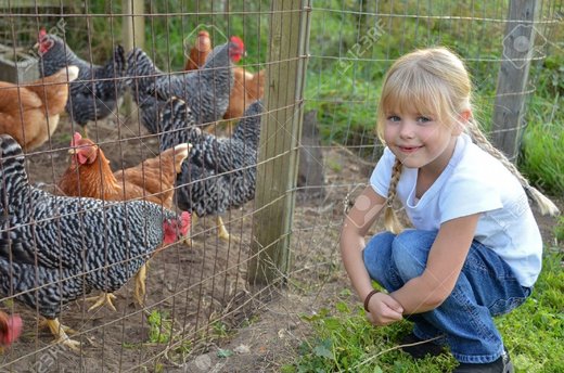 girl with chickens