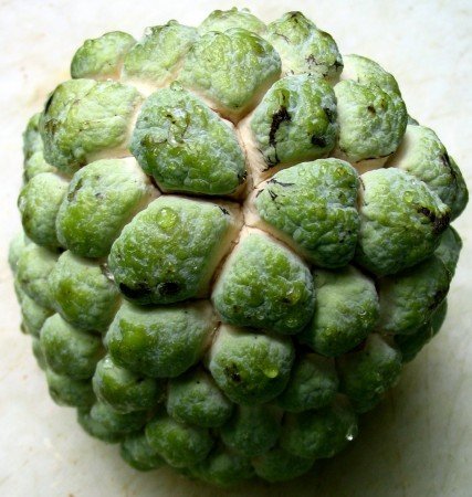 Click to enlarge custard apple