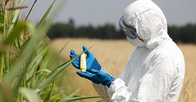 Click to enlarge GMO lies