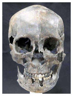 Long Headed Skull