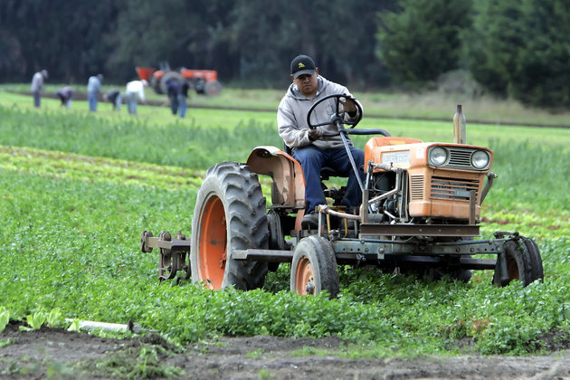 Click to enlarge organic farm