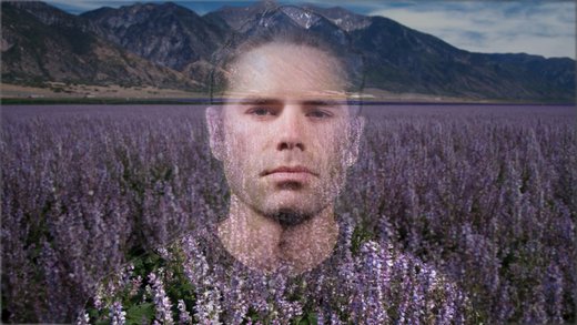 PTSD Nature Vets