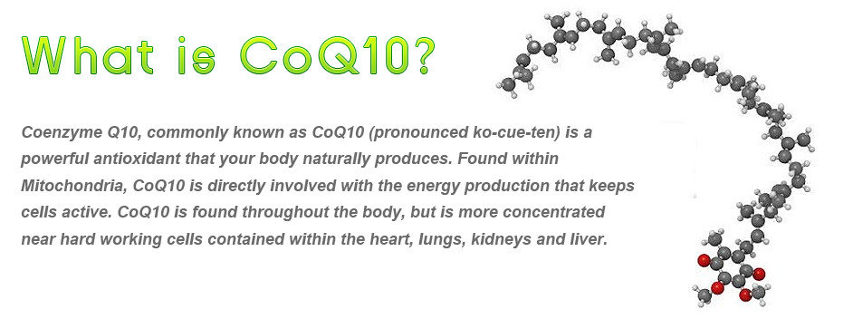 coenzyme Q10, coQ10