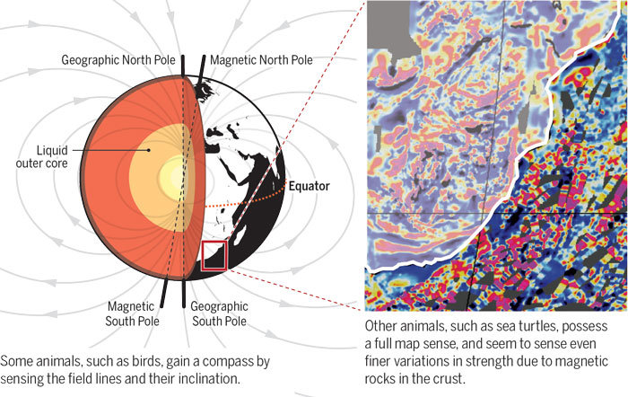 magnetic fields