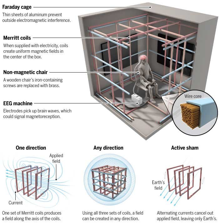 human subconscious magnetic sense