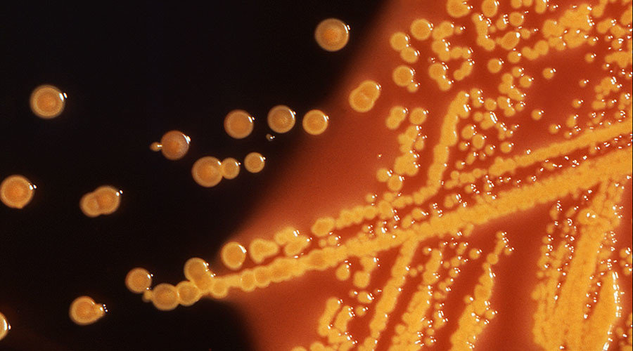 super bugs