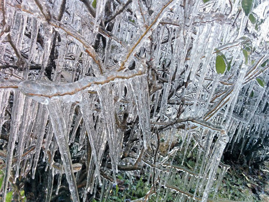 Freeze