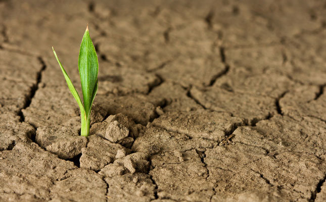 Click to enlarge resilience