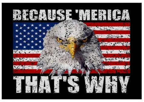 Click to enlarge because america