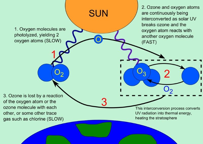 ozone cycle