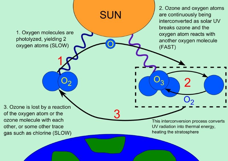 Click to enlarge ozone cycle