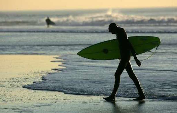 el nino shark sightings