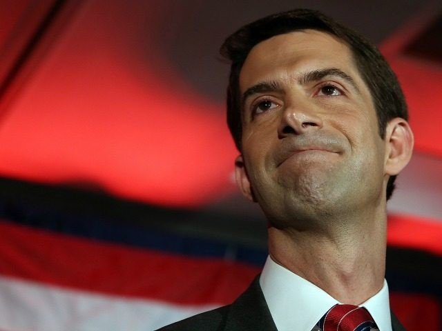 Arkansas senator Tom Cotton