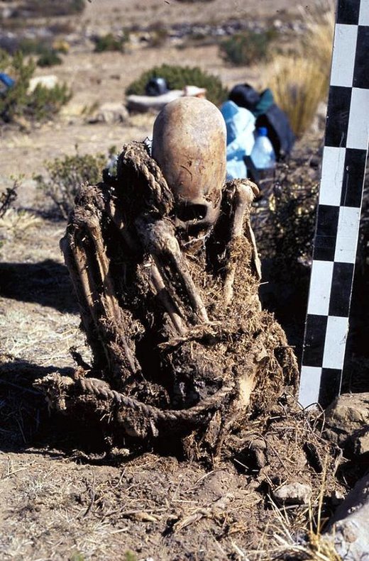 elongated skull 