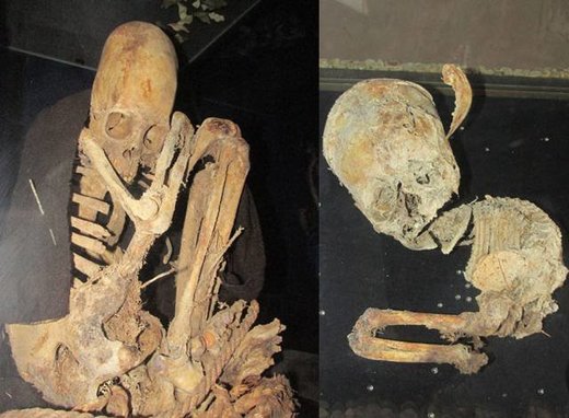 bolivian elongated skulls