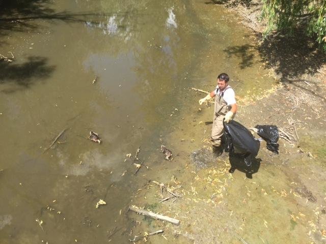Residents flooded the Woodhaven Police Department with calls Friday and Saturday after seeing as many as 50 dead ducks lining Marsh Creek. The Department of Natrual Resources came to the area and took water and soil samples. 