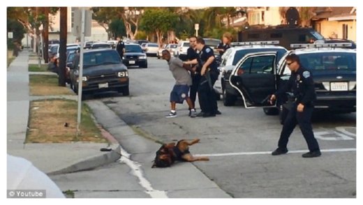 Click to enlarge Cop Shoots Dog