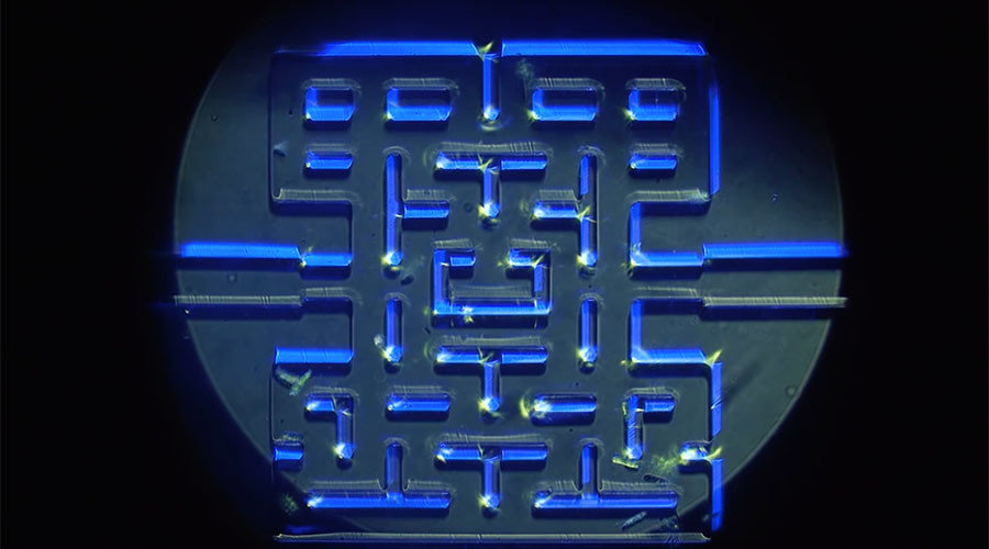 Click to enlarge Videogame style maze