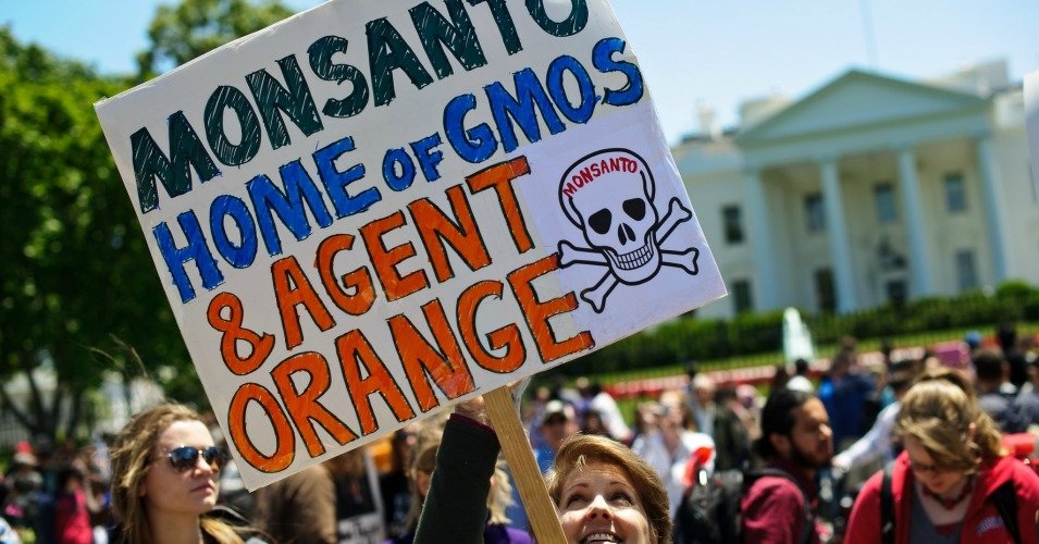 Click to enlarge protests against monsanto