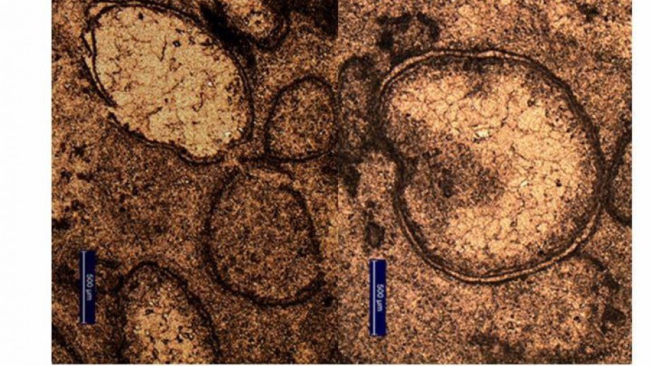Asteroid impact spherules