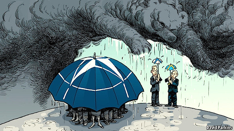 Click to enlarge cartoon nato umbrella