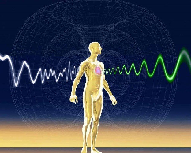Humans and Magnetic Sensing