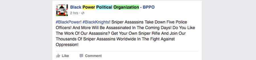 Facebook community dubbed the Black Power Political Organization