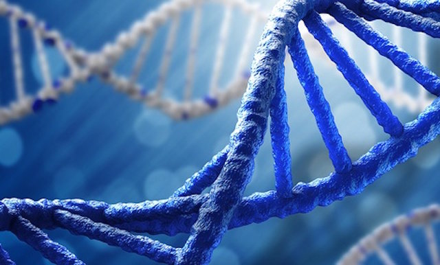DNA strand