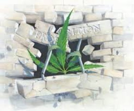 War on Weed
