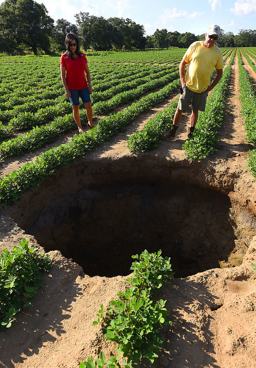 James and Kathy Harrell look over a sink hole that formed on their farm land recently.