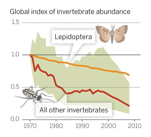 Click to enlarge According to global monitoring data for 452 species, there has been a 45 percent decline in invertebrate populations over the past 40 years.