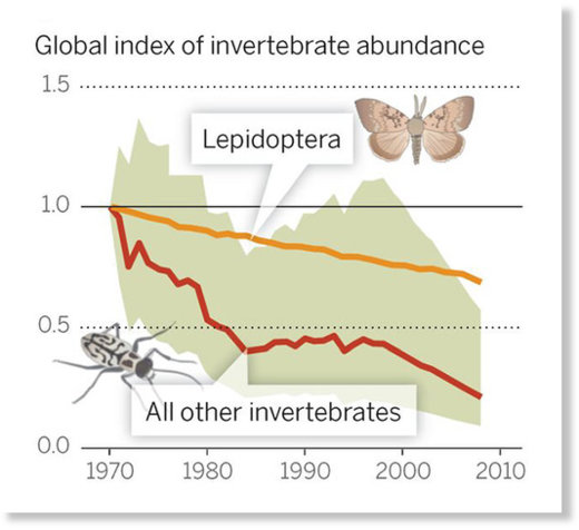 According to global monitoring data for 452 species, there has been a 45 percent decline in invertebrate populations over the past 40 years.