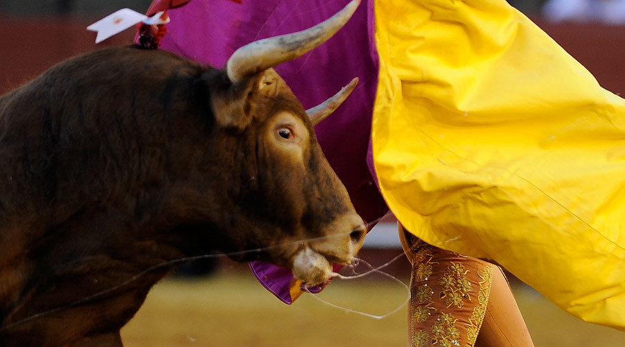 Click to enlarge Spanish Bullfighter