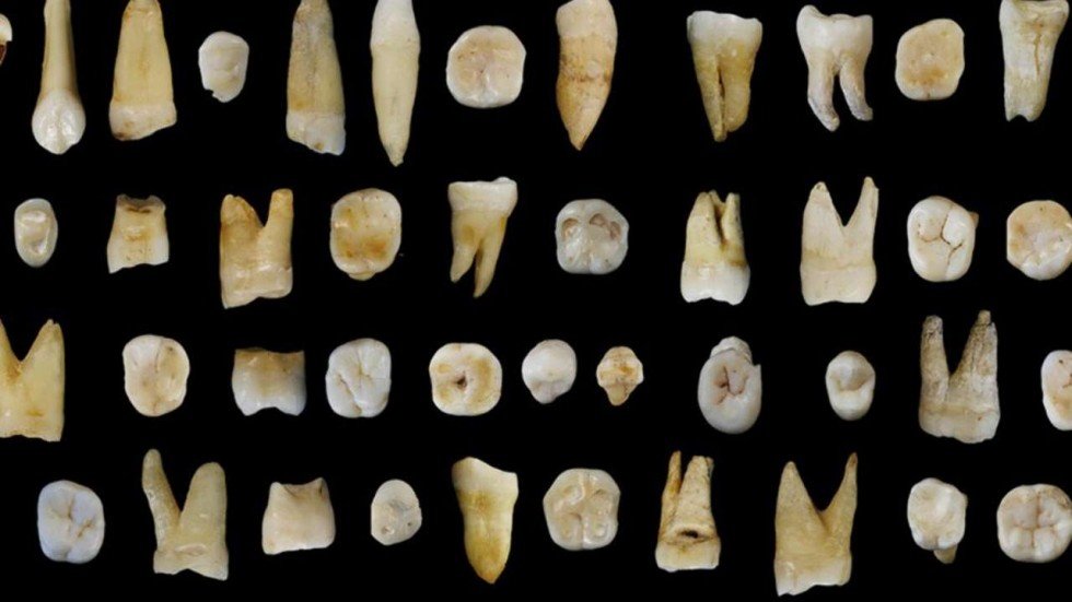 Discovery of three ancient human teeth in a cave in Guizhou adds piece to puzzle of Chinese origins