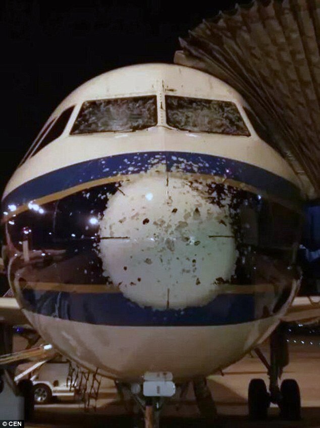 Click to enlarge As well as damage to the front of the plane, the leading edge of the left engine fan was also said to be damaged