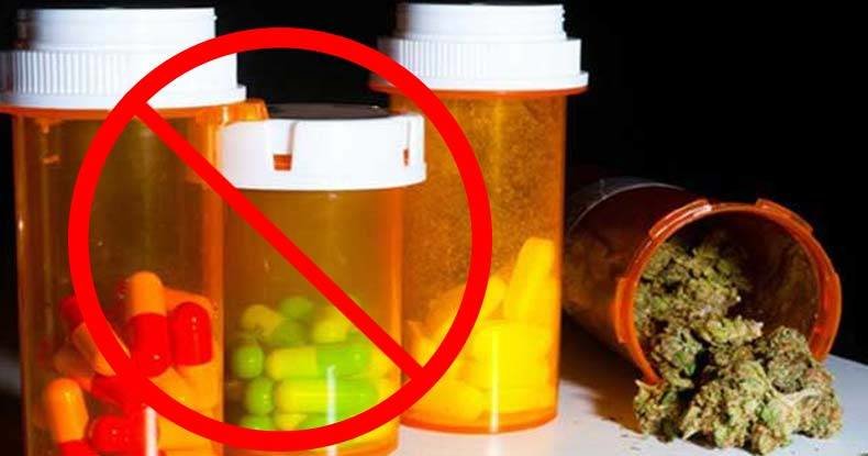Click to enlarge legal pot