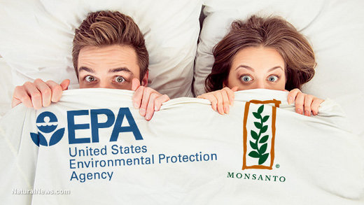 monsanto bedfellows