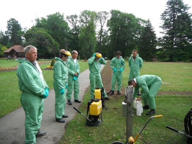 giant hogweed removal training