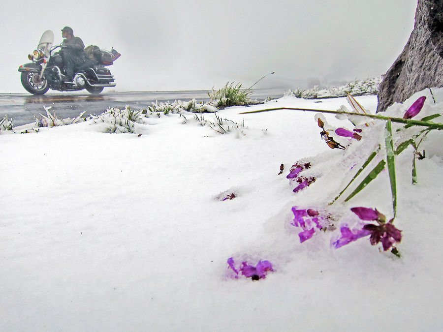 Crater Lake snow