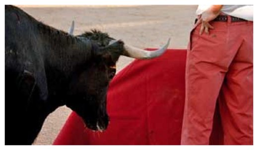Click to enlarge Bull fight