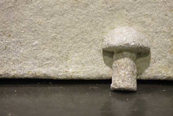 Click to enlarge Mushroom Packaging
