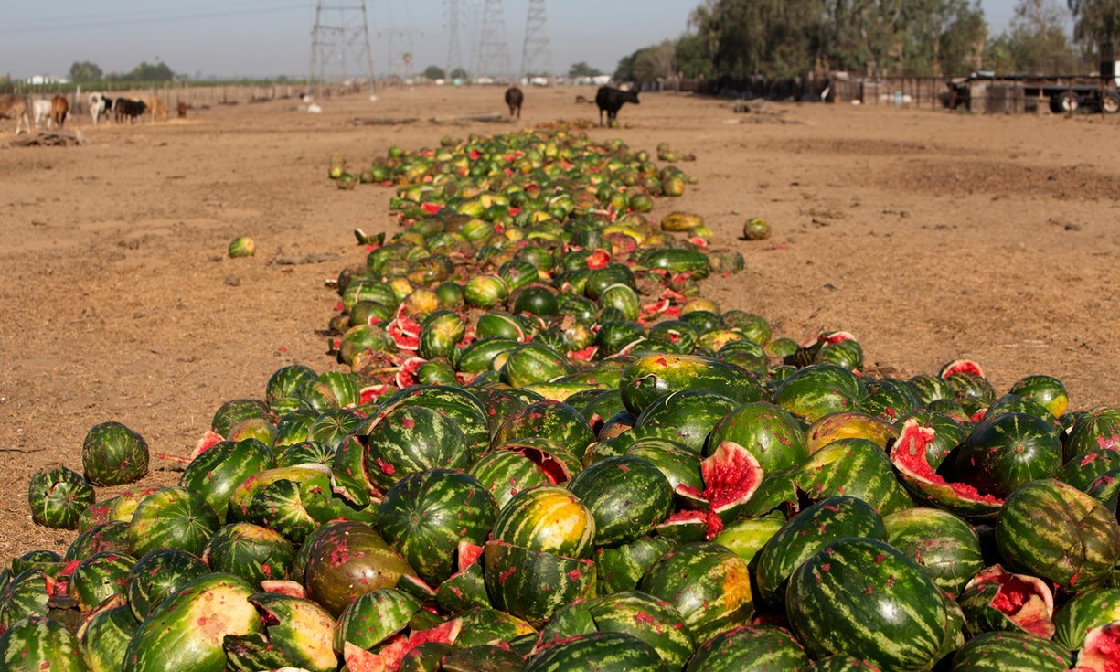 Click to enlarge watermelons